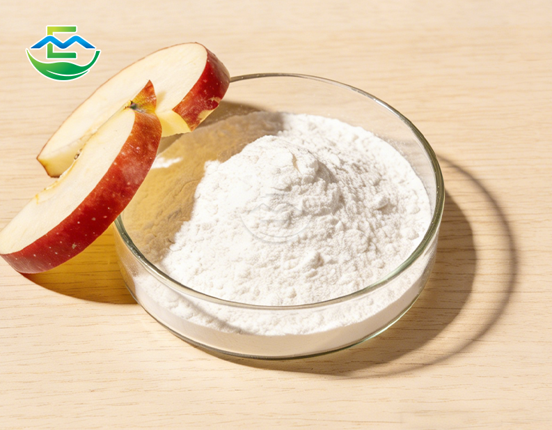 Apple Extract Phloretin 95%